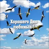 Бесплатная электронная открытка хорошего дня любимому