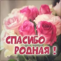 Бесплатная картинка спасибо родная