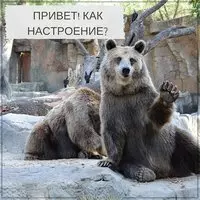 Бесплатная открытка привет