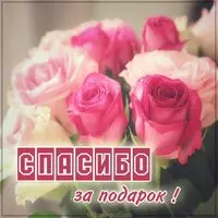 Бесплатная открытка спасибо за подарок