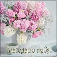 Бесплатная виртуальная картинка благодарю тебя