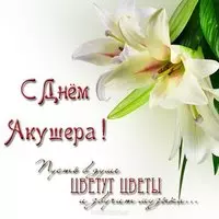 День акушера картинка