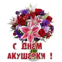 День акушерки картинка
