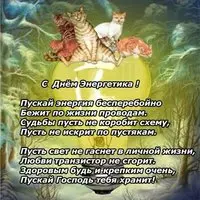 Картинка с котами на лампочке и стихами энергетику