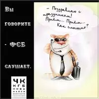 День ФСБ смешная картинка