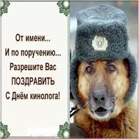 День кинолога картинка прикольная