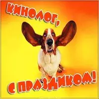 День кинолога картинка