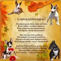 День кинолога поздравление открытка