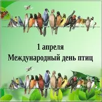 День птиц картинка