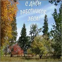 День работников леса фото картинка