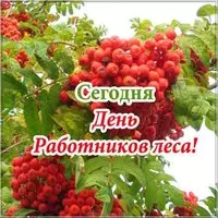 День работников леса картинка