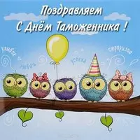 Прикольная картинка с совами — с Днём таможенника