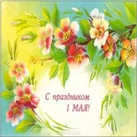 Открытка с цветущими ветками — с праздником 1 мая