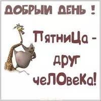 Добрый день пятница прикольная картинка