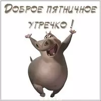 Доброе пятничное утро картинка прикольная