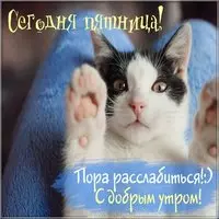 Доброе утро с пятницей картинка позитивная прикольная