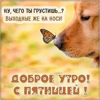 Доброе утро с пятницей картинка позитивная