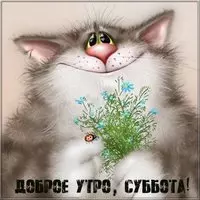 Доброе утро суббота картинка прикольная смешная