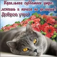Доброе утро субботы картинка прикольная бесплатно