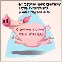 Доброе утро вторника картинка прикольная