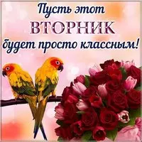 Доброго дня вторника картинка