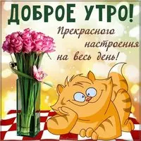 Доброго субботнего утра картинка прикольная