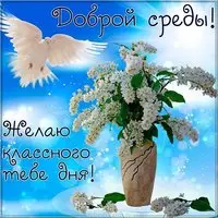 Доброй среды прикольная картинка хорошего дня