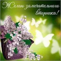 Электронная открытка со вторником