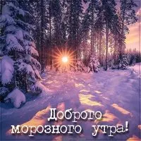 Открытка с зимним лесом — доброго морозного утра