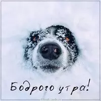 Фото картинка бодрого утра прикольная