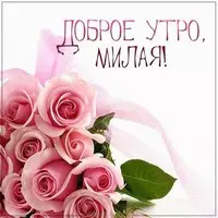 Фото картинка доброе утро девушке