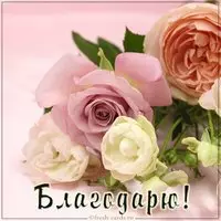 Фото открытка благодарю