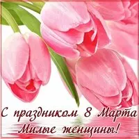 Открытка с розовыми тюльпанами — милые женщины