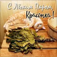Прикольная картинка с котом и веником — красотке