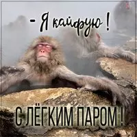 Прикольная картинка с обезьяной — я кайфую