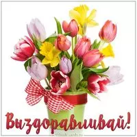 Картинка с тюльпанами в горшке — выздоравливай