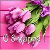 Картинка с сиреневыми тюльпанами и бантом