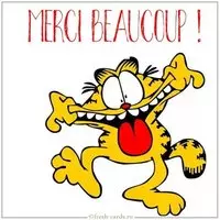 Image Merci Beaucoup Drole