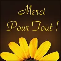 Image Merci Pour Tout