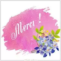 Image Merci