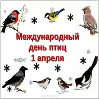 Картинка 1 апреля международный день птиц