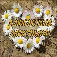 Картинка Александра я тебя люблю