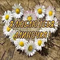 Картинка Алиночка я тебя люблю