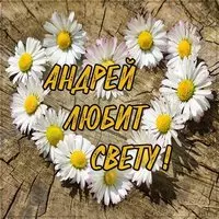 Картинка Андрей любит Свету