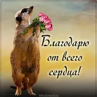 Картинка благодарю прикольная с надписью
