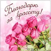 Картинка благодарю за красоту