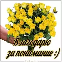 Картинка благодарю за понимание