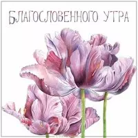 Картинка благословенного утра красивая