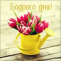 Картинка бодрого дня красивая