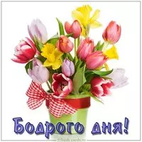 Картинка бодрого дня